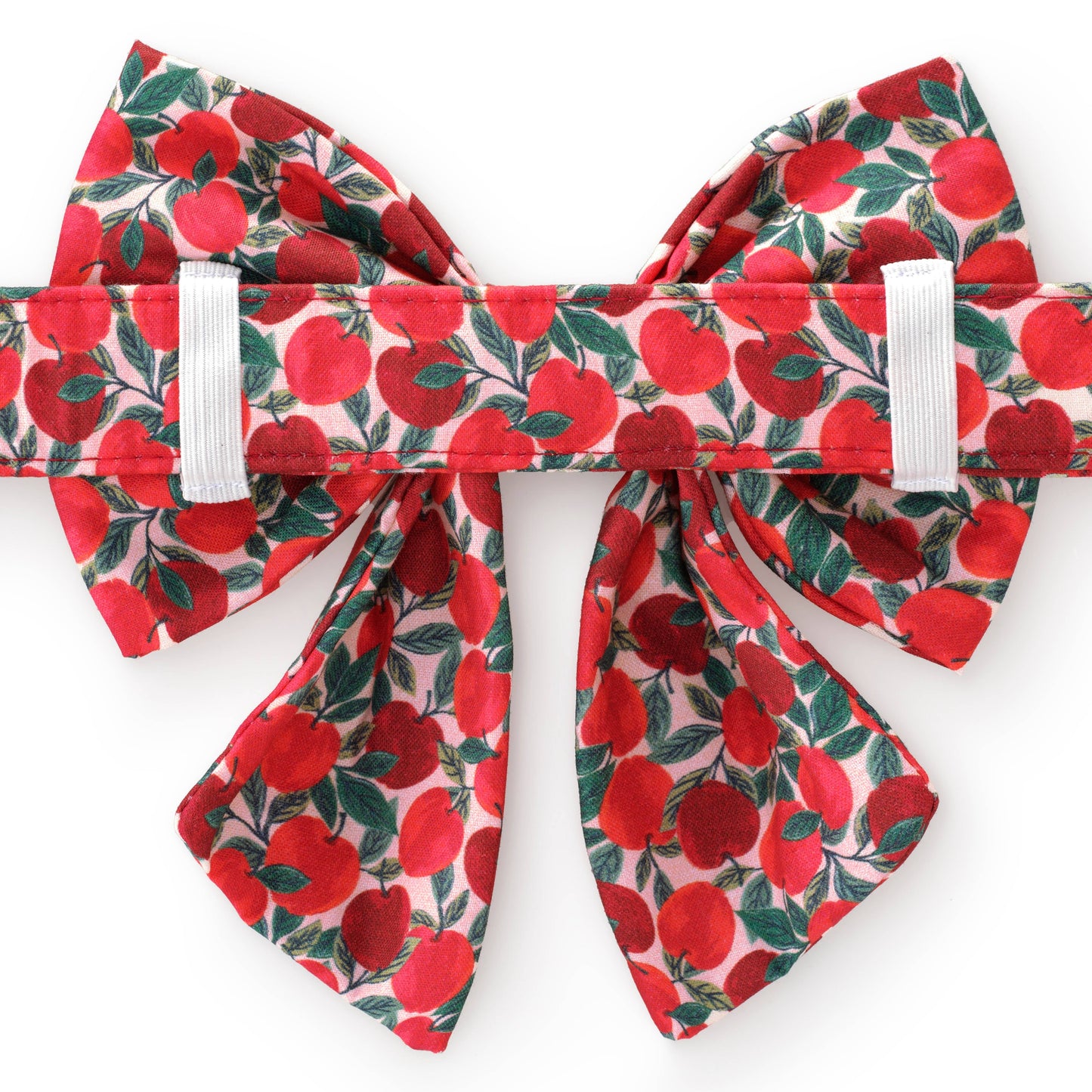 Apple of My Eye Fall Lady Dog Bow