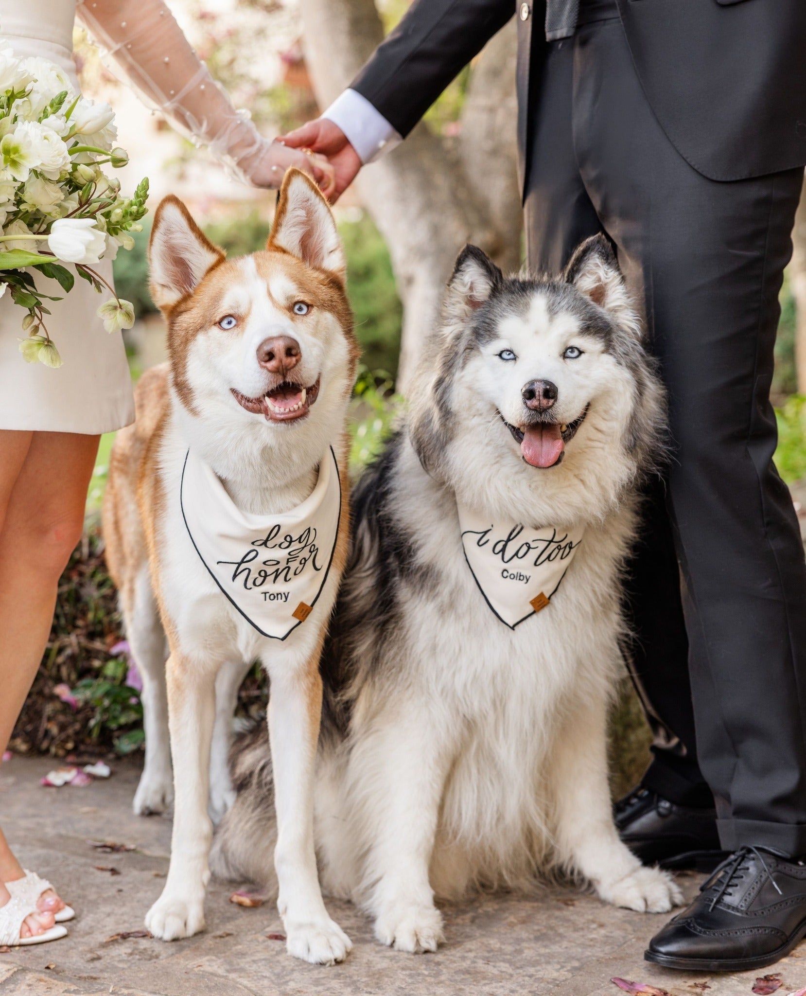 The Foggy Dog Wedding Collection