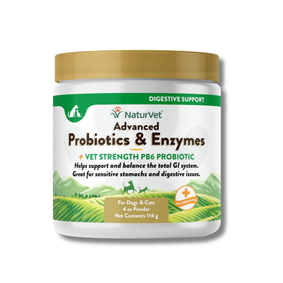 Gut Health & Digestion