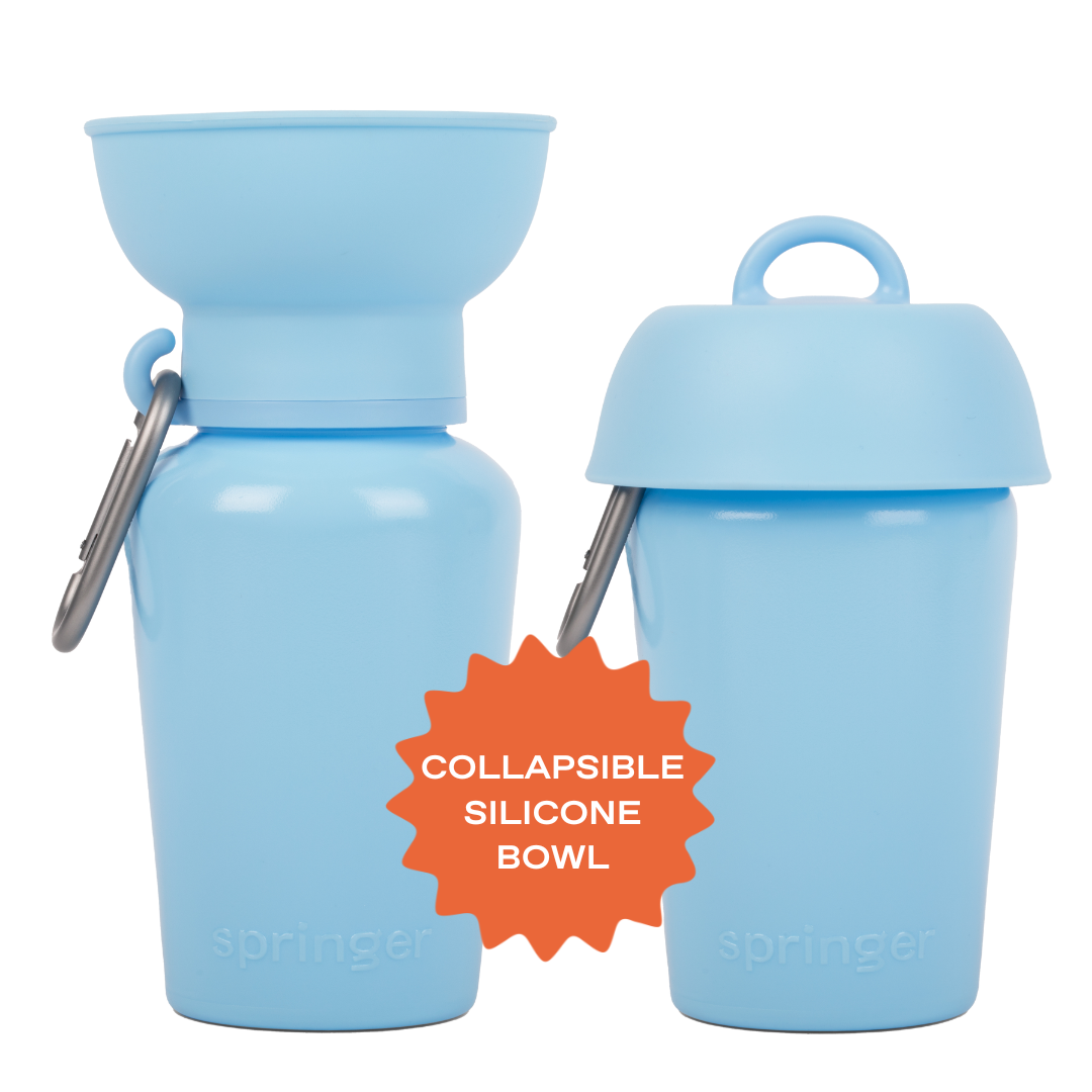 Dog Travel Water Bottle - 20oz Flip (Mixed 12 Pack)