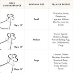 Regatta Dog Bandana