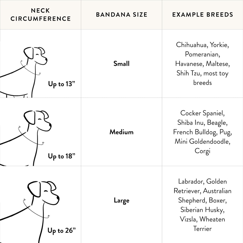 Save the Date Embroidered Dog Bandana