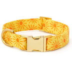 Here Comes the Sun Dog Collar