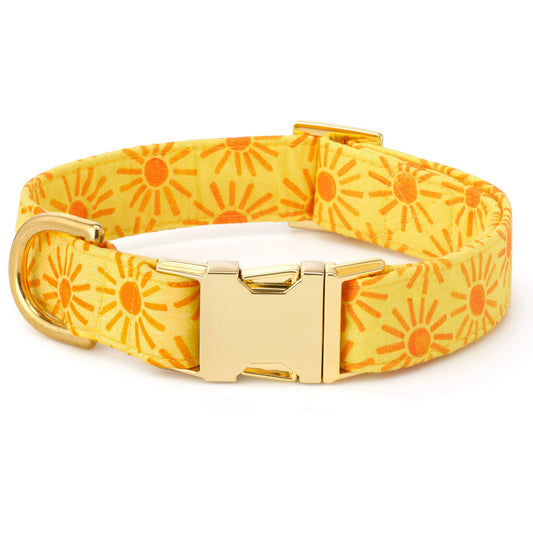 Here Comes the Sun Dog Collar