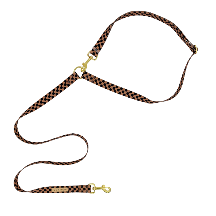Moonrise - Handsfree Dog Leash