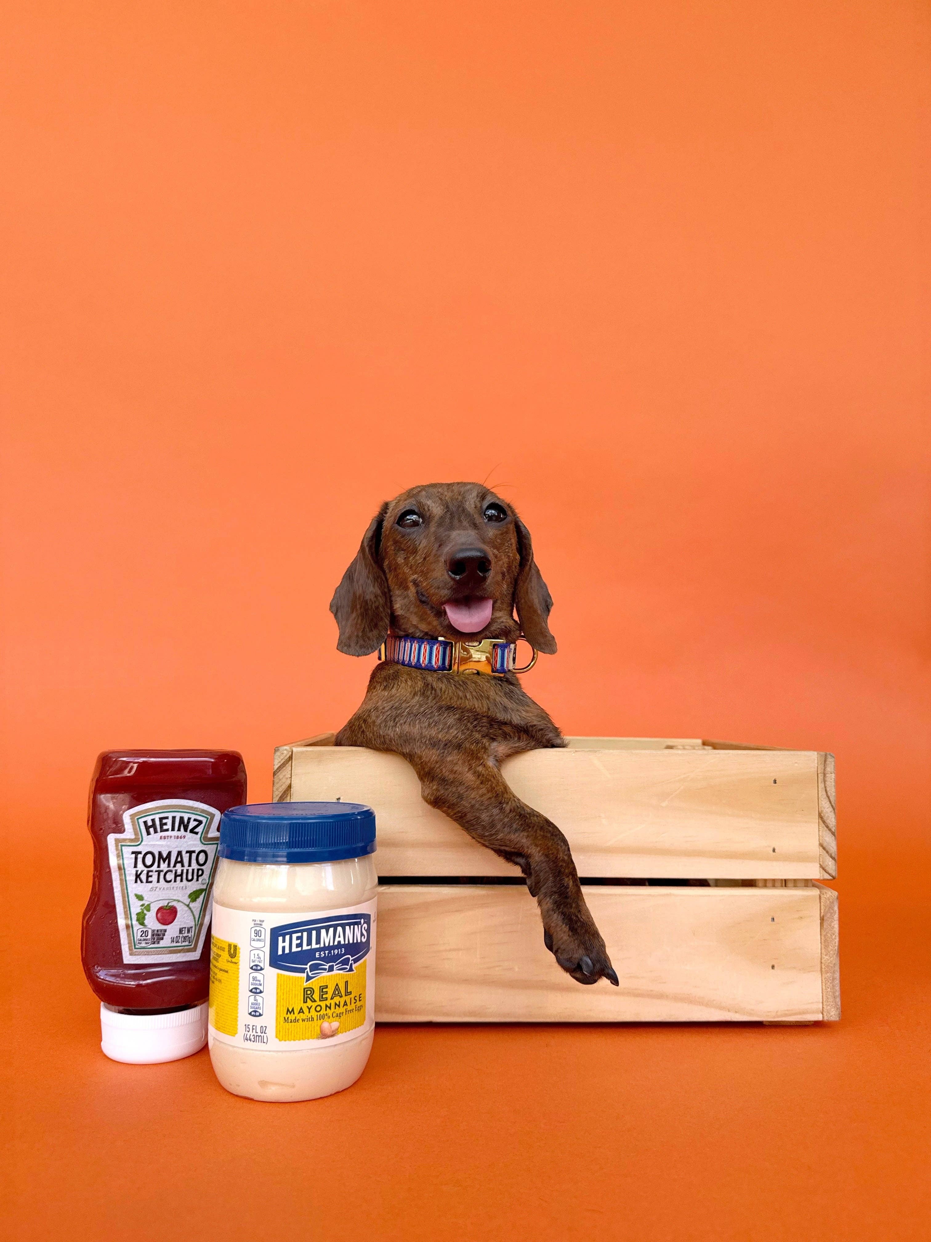 Wieners - Dog Collar