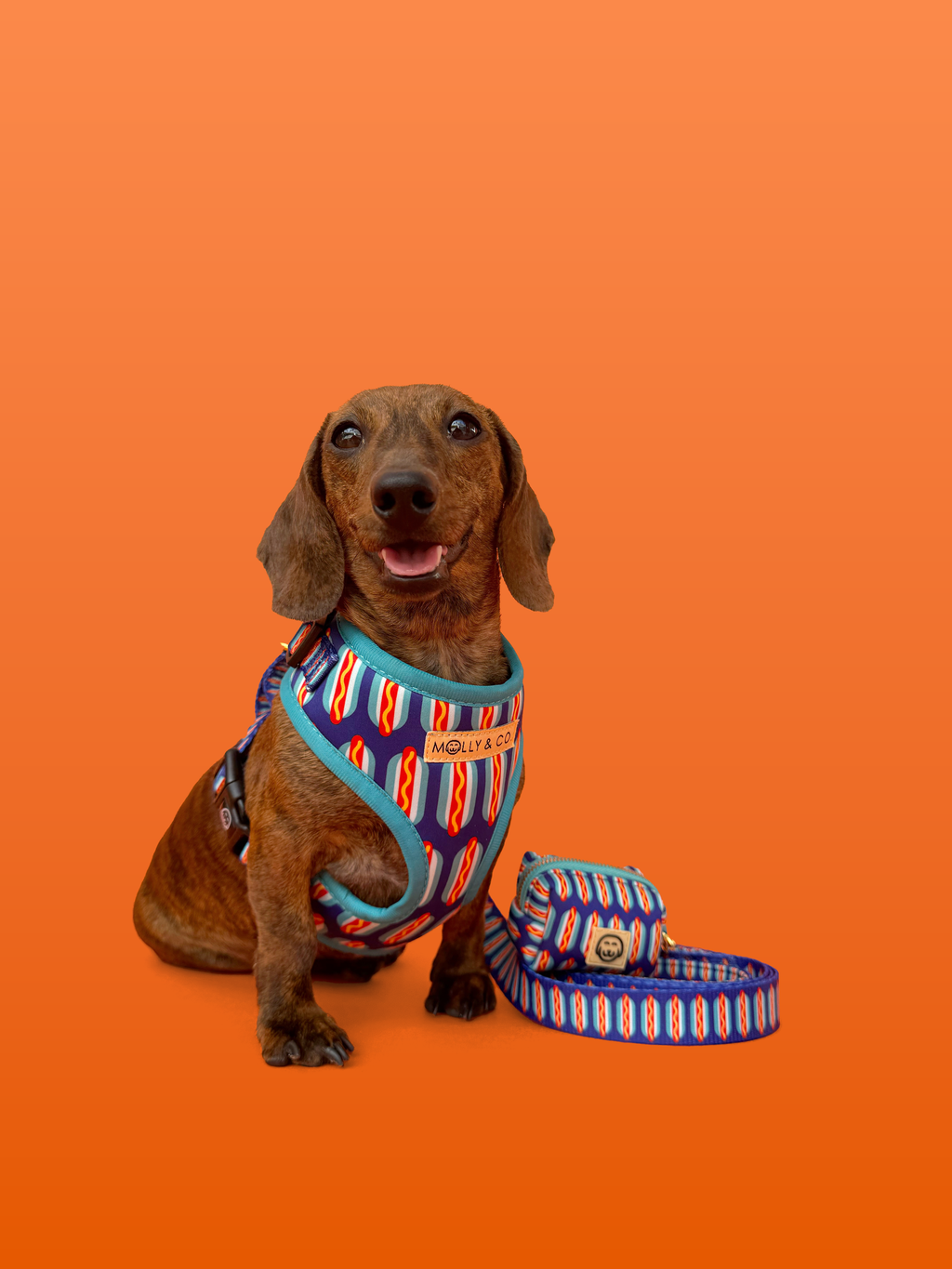 Wieners - Dog Leash