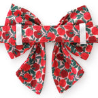 Apple of My Eye Fall Lady Dog Bow