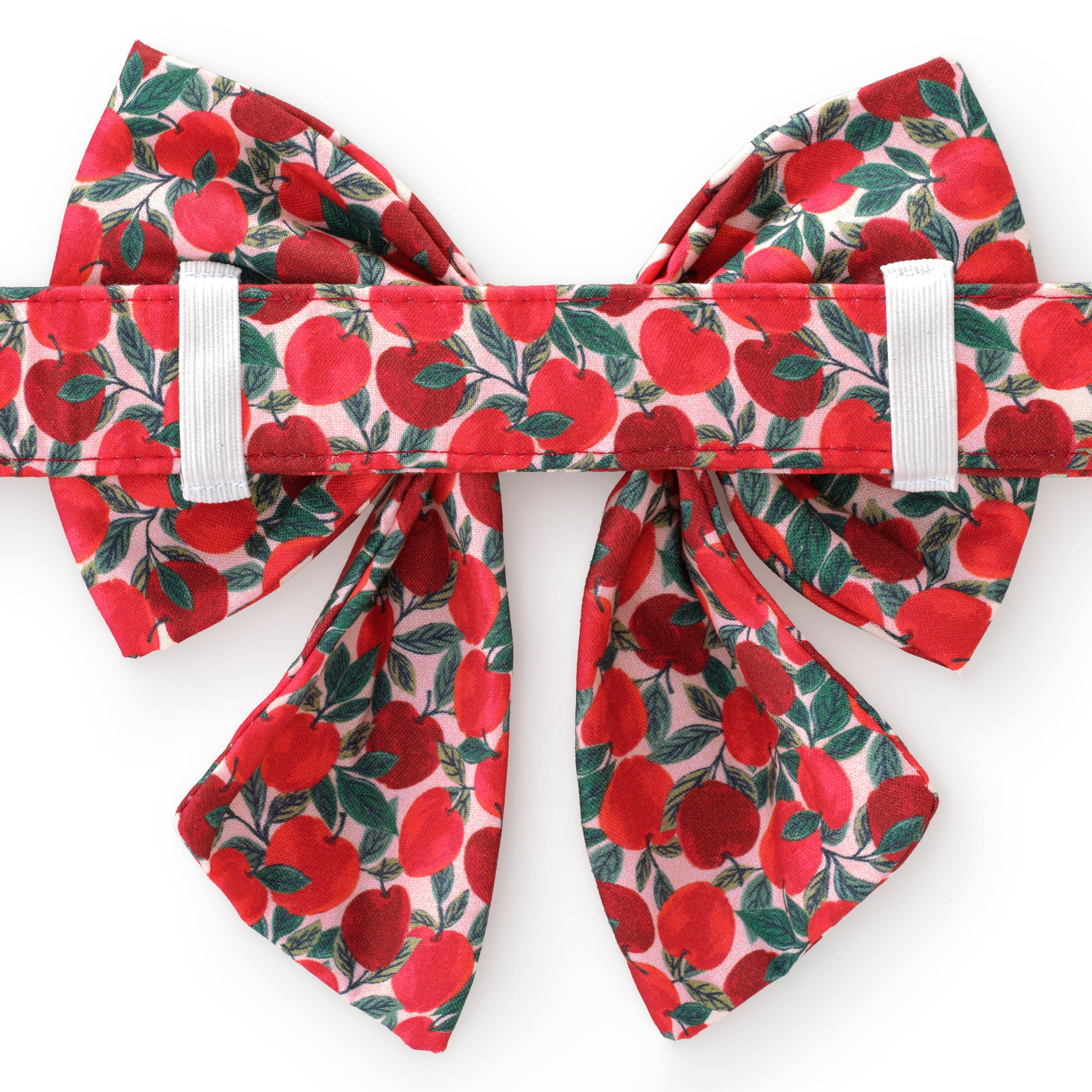 Apple of My Eye Fall Lady Dog Bow