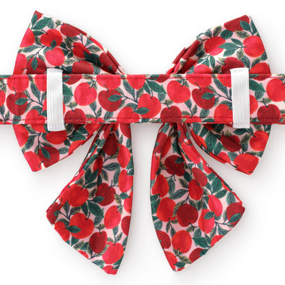 Apple of My Eye Fall Lady Dog Bow