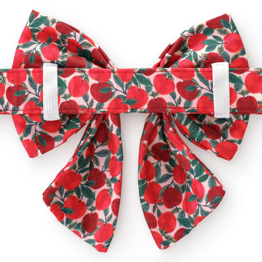 Apple of My Eye Fall Lady Dog Bow