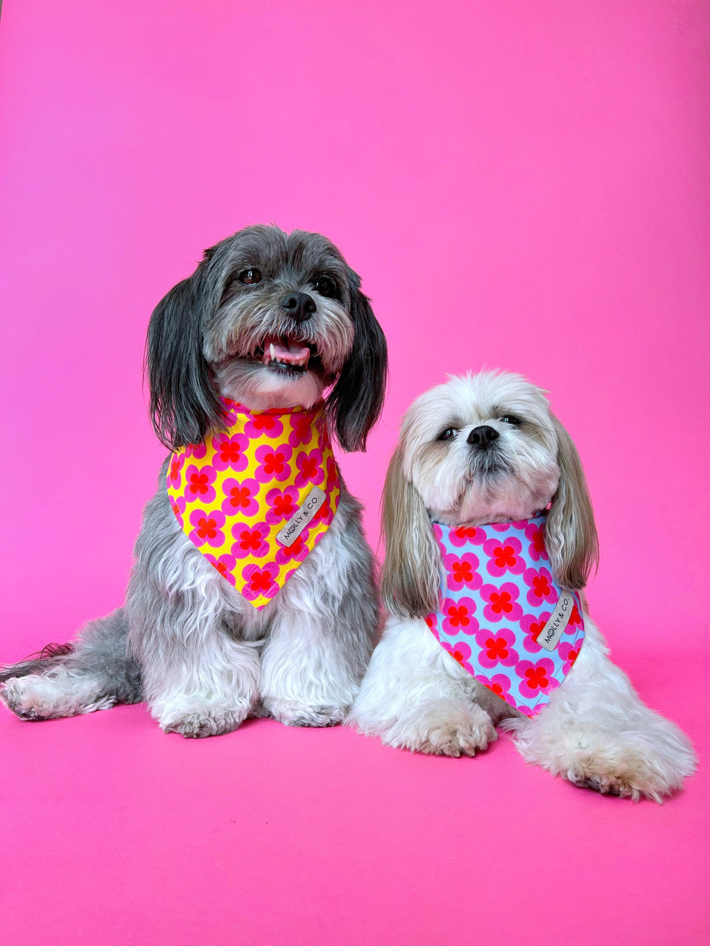 Venezia - Reversible Dog Bandana
