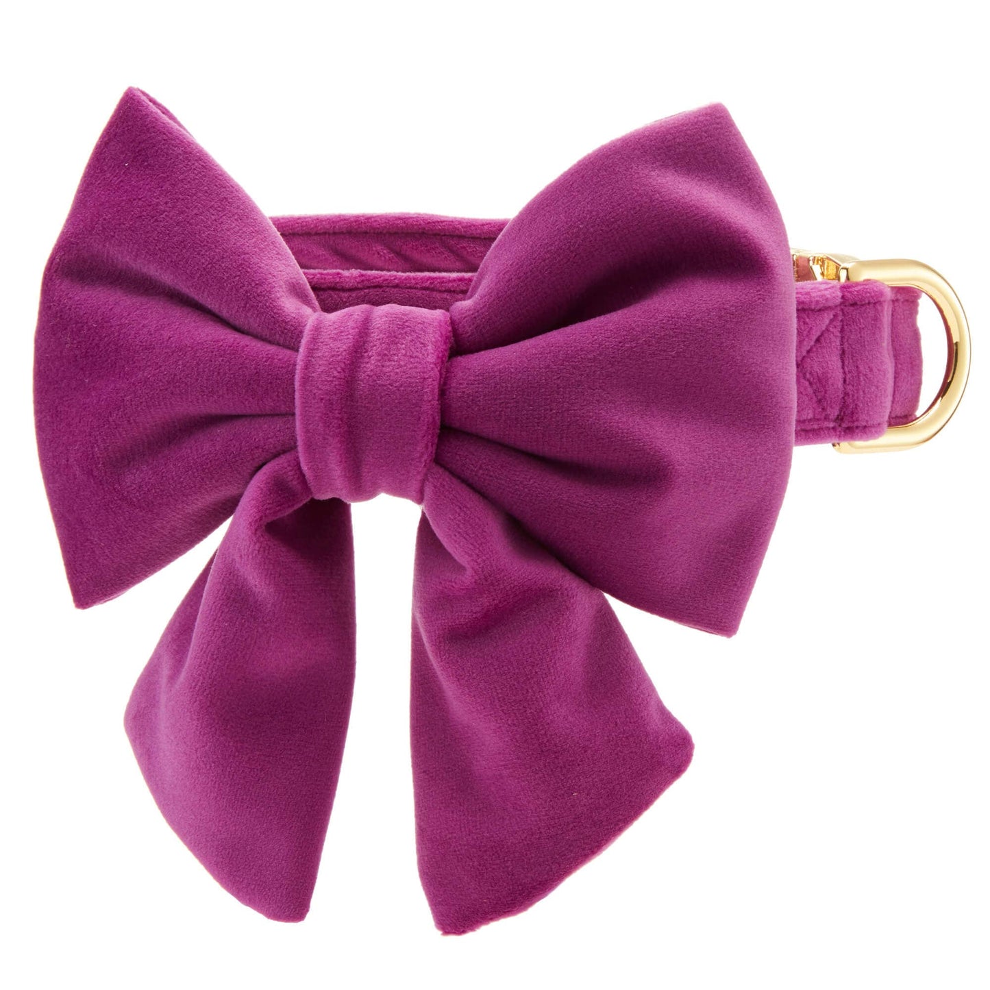 Plum Velvet Lady Dog Bow