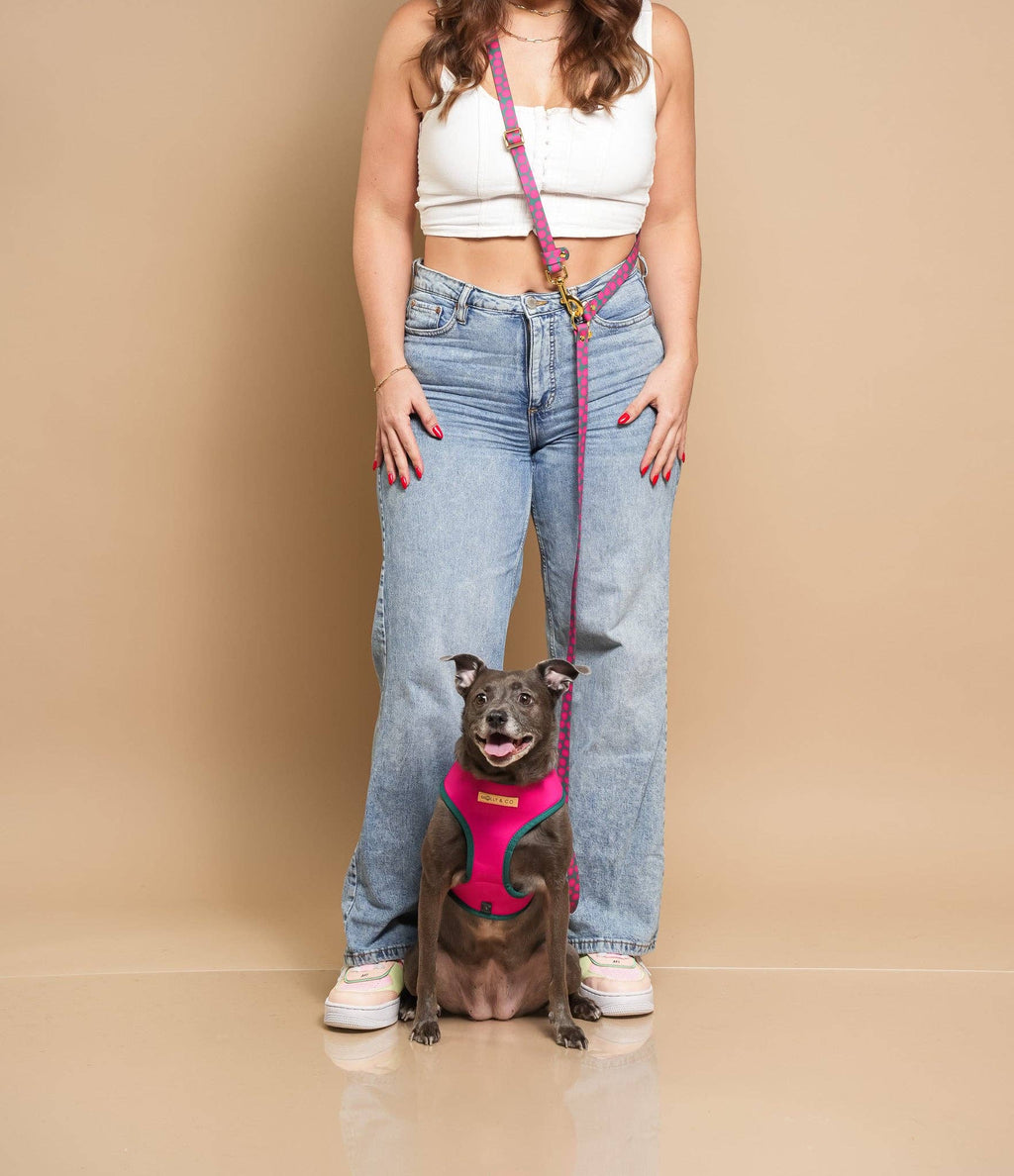 Polka Dogz - Reversible Dog Harness