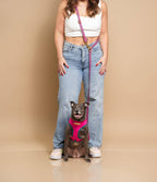 Polka Dogz - Reversible Dog Harness