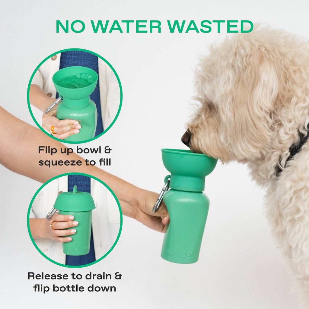 Dog Travel Water Bottle - 20oz Flip (Mixed 12 Pack)