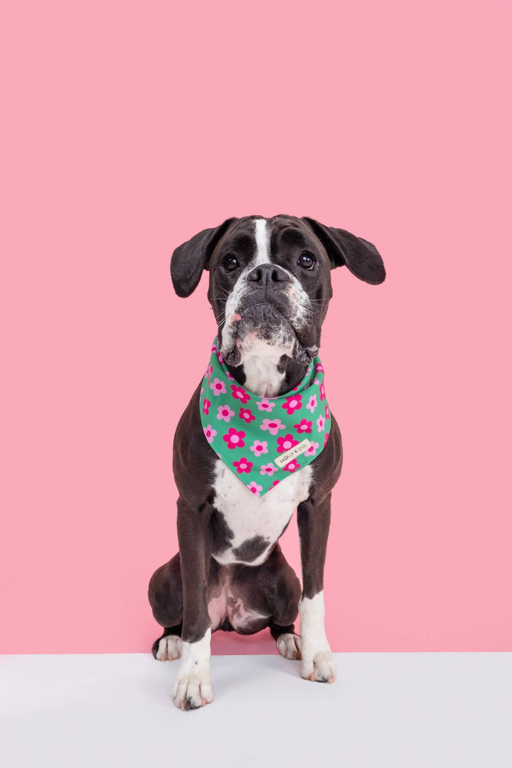 Petunia - Dog Bandana