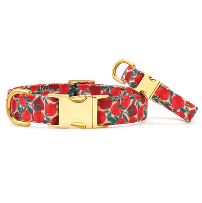 Apple of My Eye Fall Dog Collar