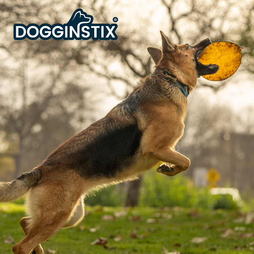 Beef Collagen UFO - Frisbee Disc