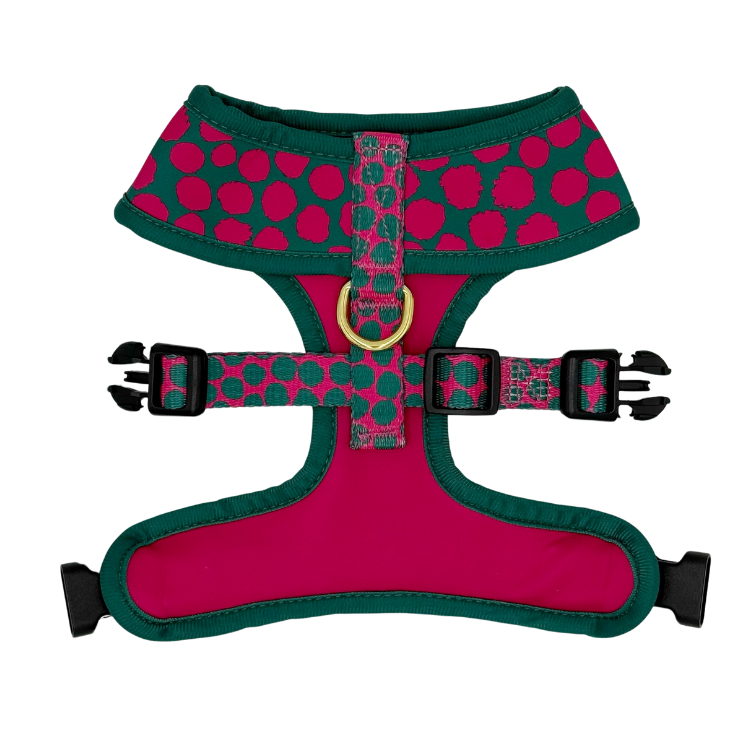 Polka Dogz - Reversible Dog Harness
