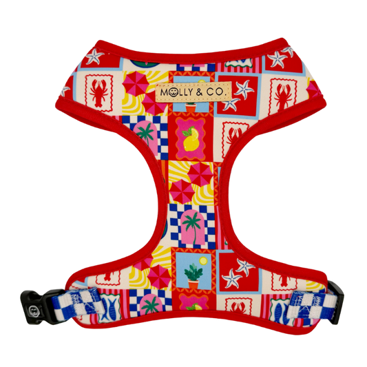 Amalfi - Adjustable Dog Harness