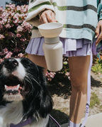 Dog Travel Water Bottle - 20oz Flip (Mixed 12 Pack)