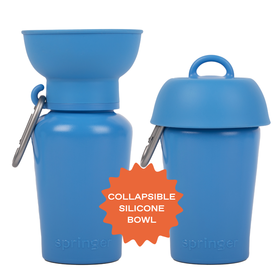 Dog Travel Water Bottle - 20oz Flip (Mixed 12 Pack)