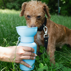 Dog Travel Water Bottle - 20oz Flip (Mixed 12 Pack)