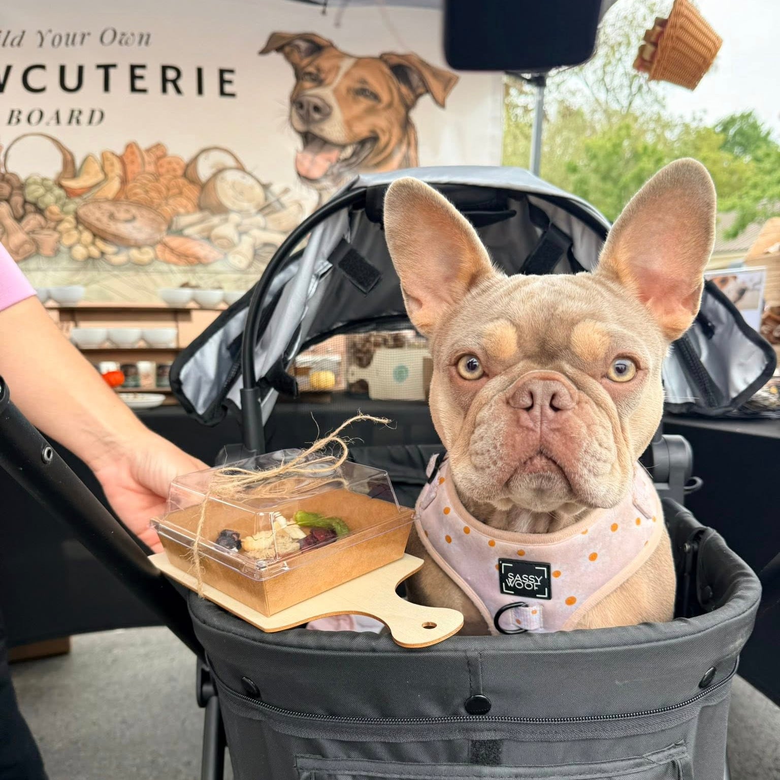 Pawcuterie