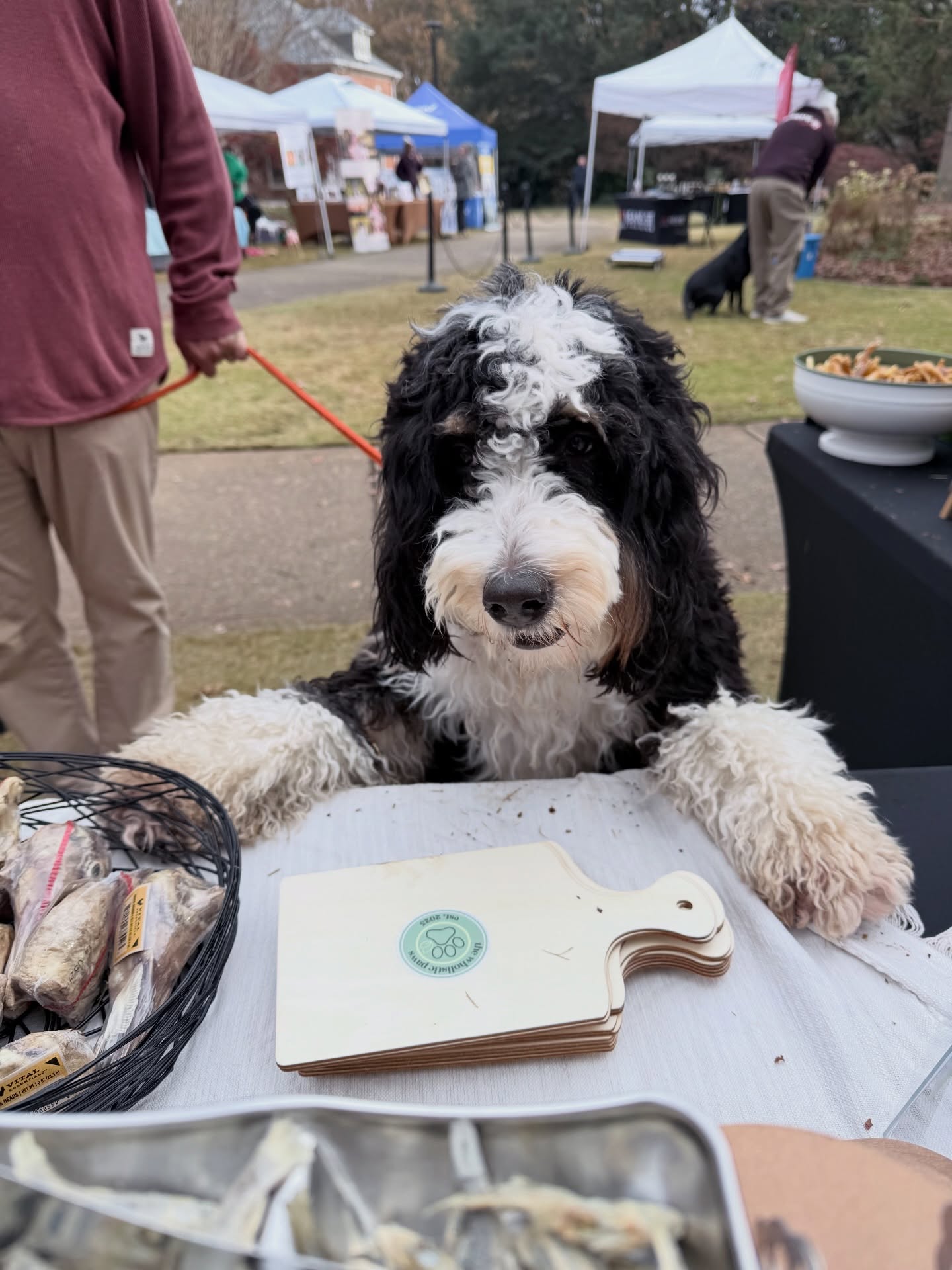 Pawcuterie