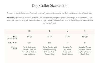 Black Velvet Dog Collar