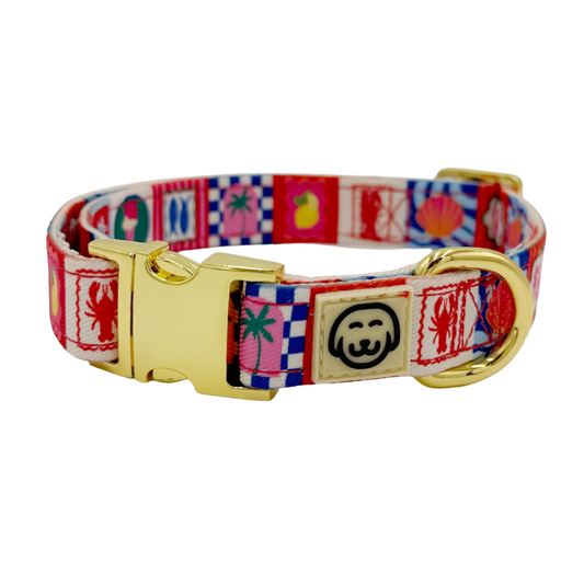 Amalfi - Adjustable Dog Collar