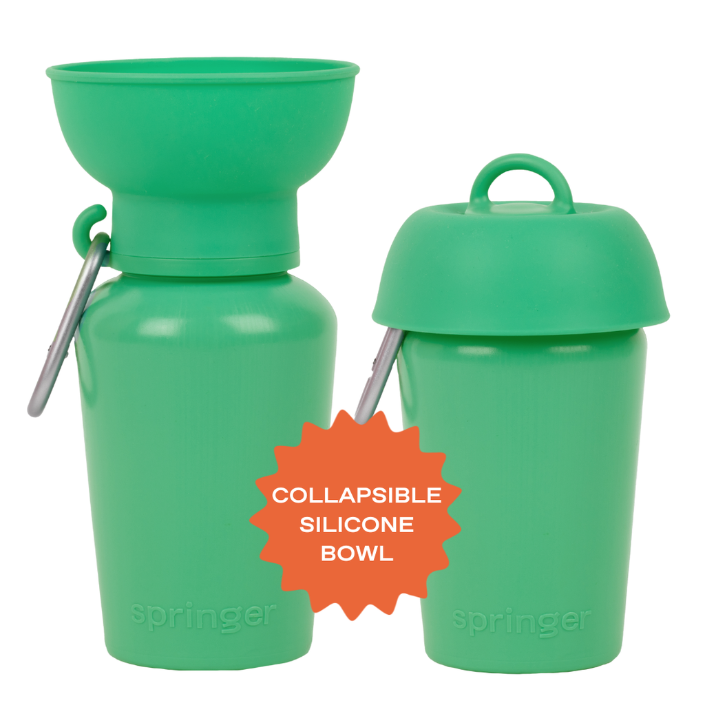 Dog Travel Water Bottle - 20oz Flip (Mixed 12 Pack)