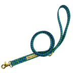 Forest - Dog Leash