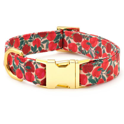 Apple of My Eye Fall Dog Collar