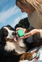Silicone Dog Treat Dispenser - 6 Colors (Mixed 12 Pack)