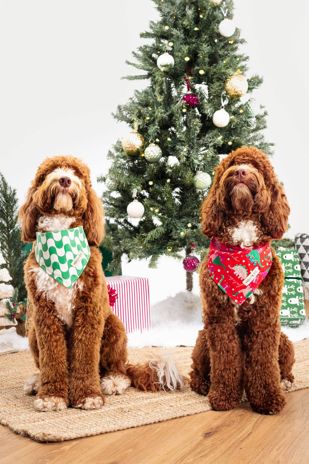 Merry Dinos - Reversible Dog Bandana