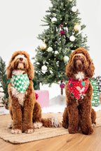 Merry Dinos - Reversible Dog Bandana