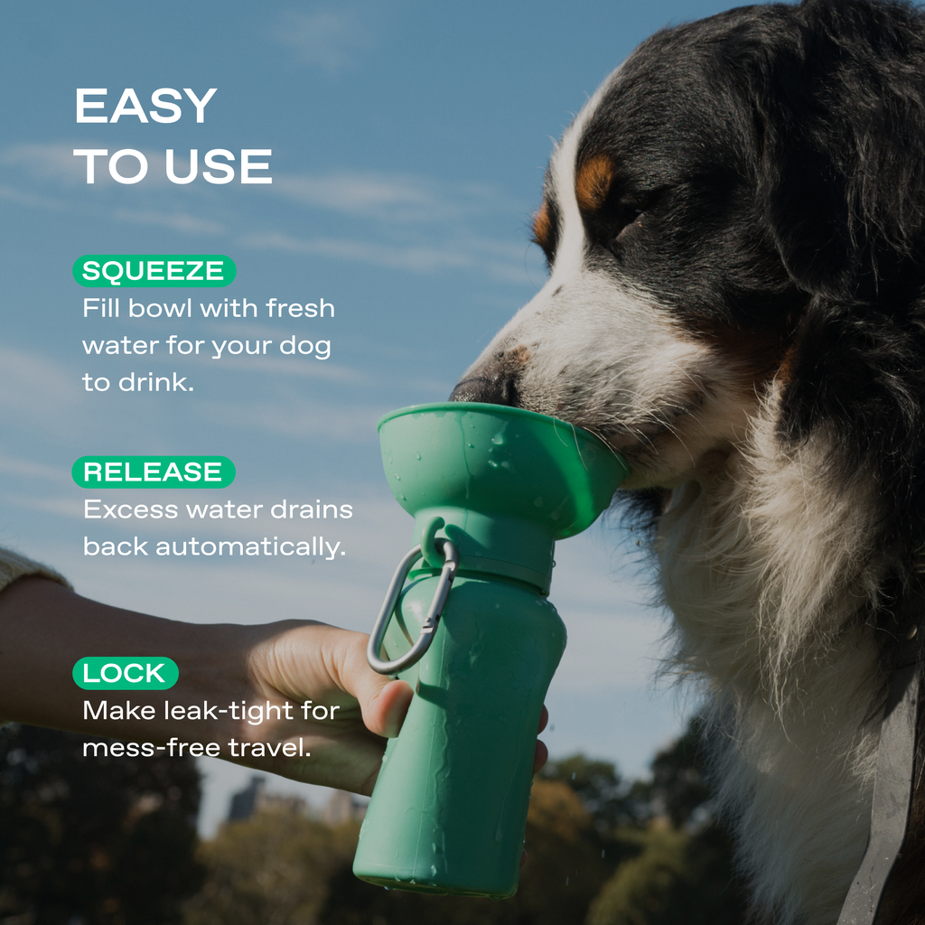 Dog Travel Water Bottle - 20oz Flip (Mixed 12 Pack)