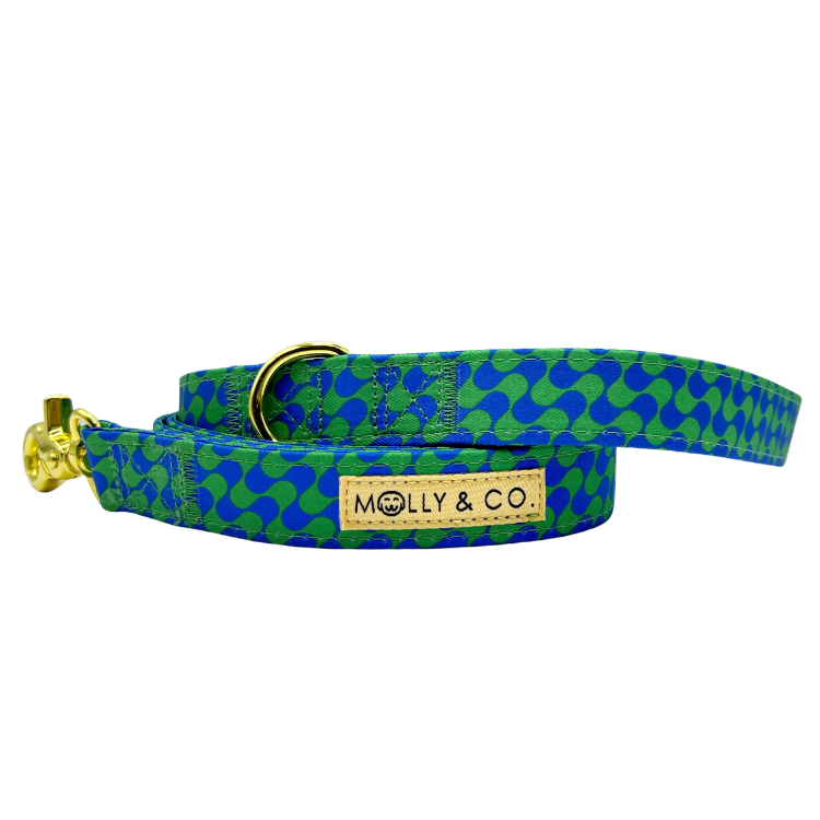 Forest - Dog Leash