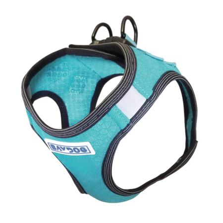 BAYDOG Dog Harness Liberty Bay Seafoam Medium