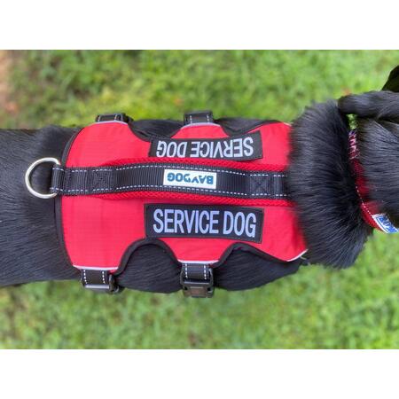 BAYDOG Dog Harness Galveston Service Dog Vest w/ Patches Red Large