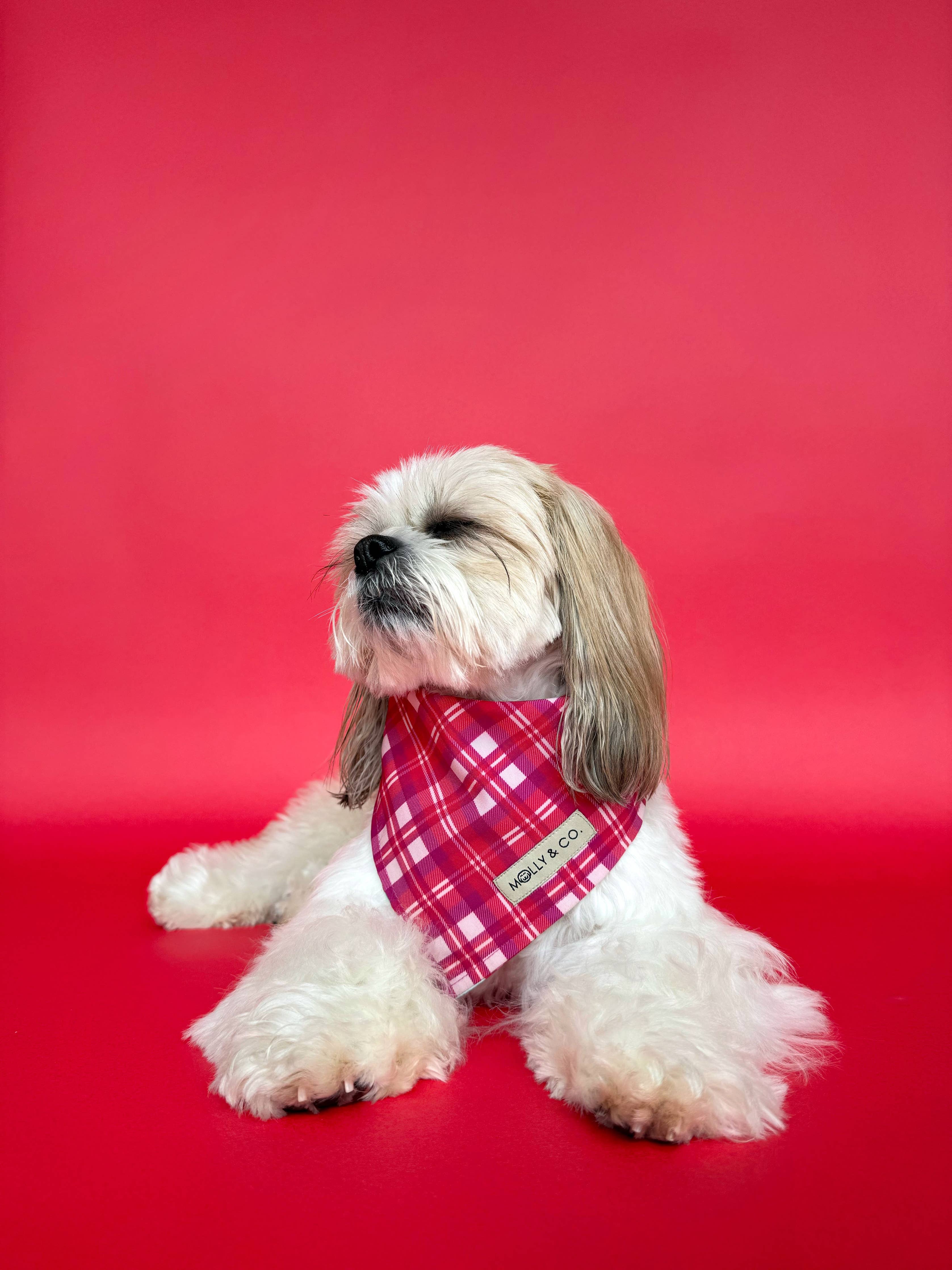 Rosewood Tartan + Gingerbread - Reversible Dog Bandana