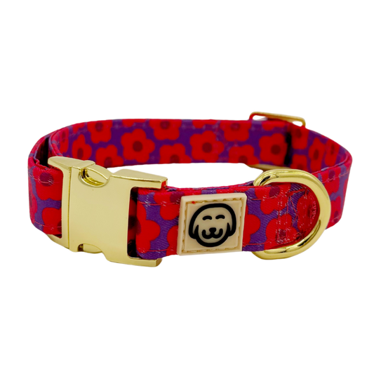 Mon Chéri - Dog Collar