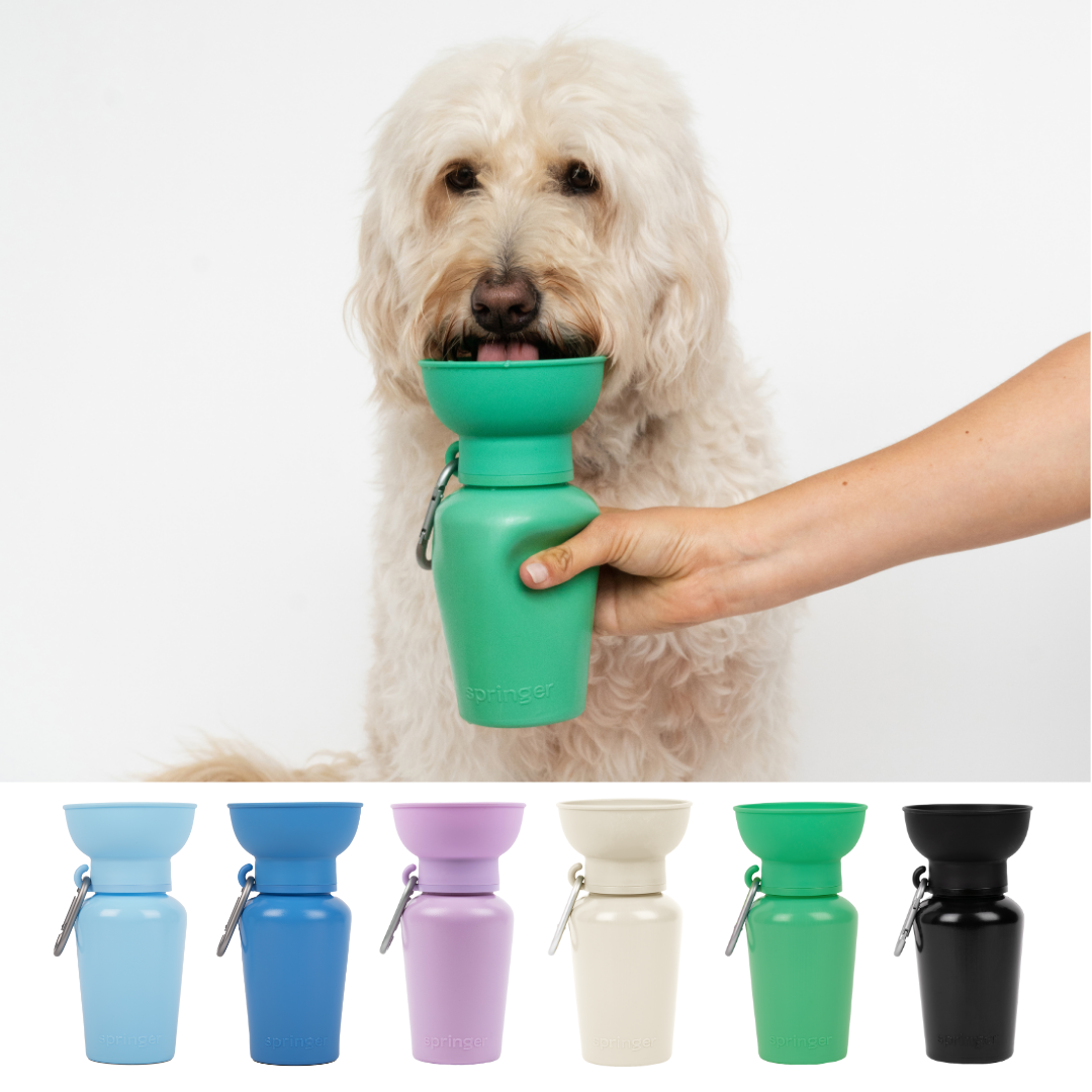 Dog Travel Water Bottle - 20oz Flip (Mixed 12 Pack)