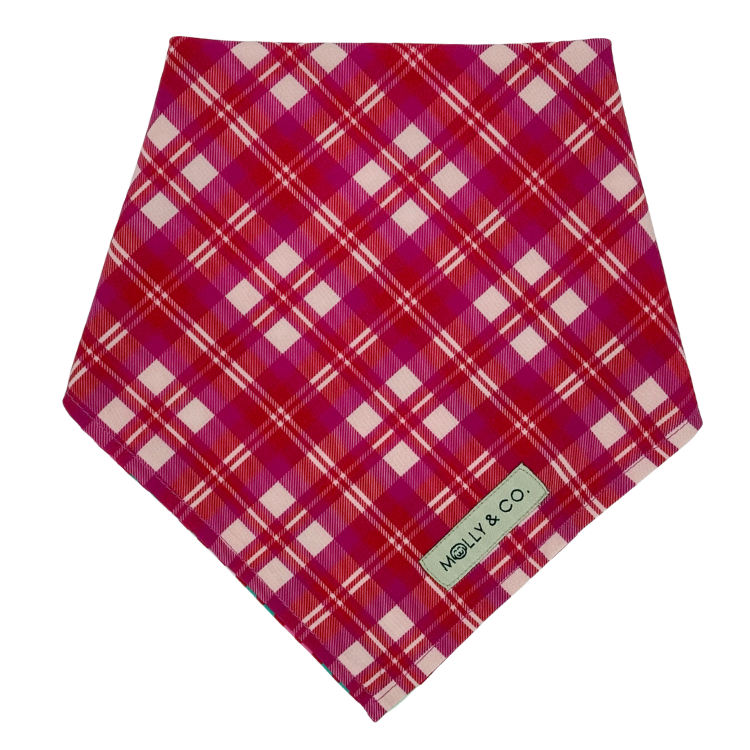 Rosewood Tartan + Gingerbread - Reversible Dog Bandana