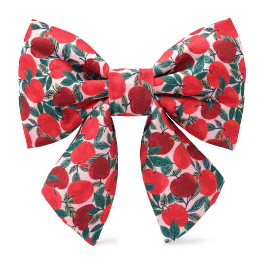 Apple of My Eye Fall Lady Dog Bow