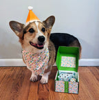 Metro Paws Little Dogs Pawty Box