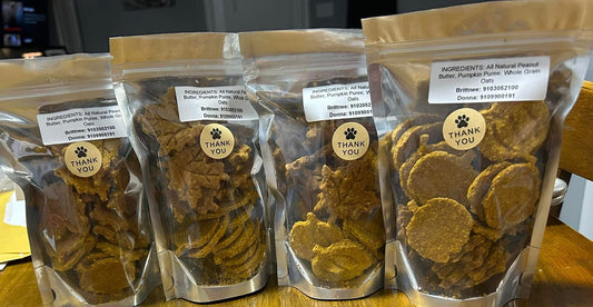 B&B Pumpkin Oat Biscuits Dog Treats 4oz