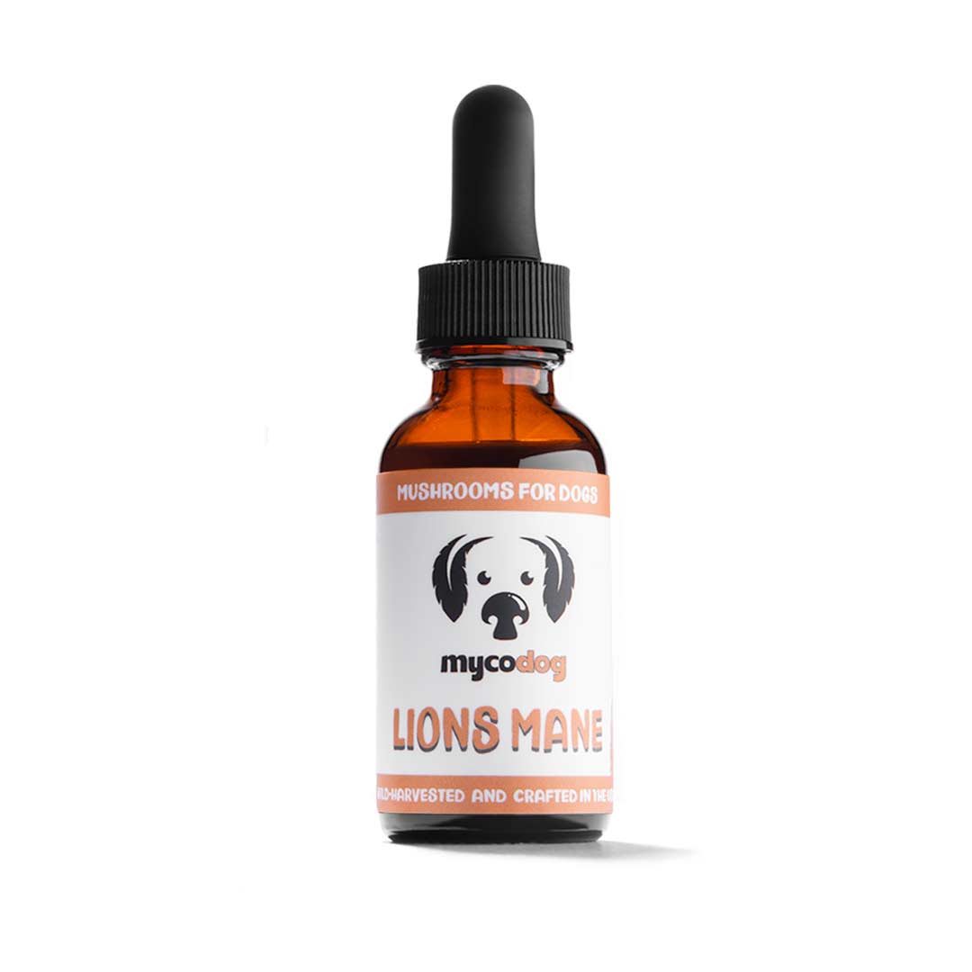 Mycodog Lion's Mane Mushroom Extract
